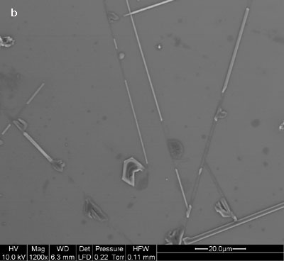 Multi-walled carbon nanotubes bound on the silicon surface.