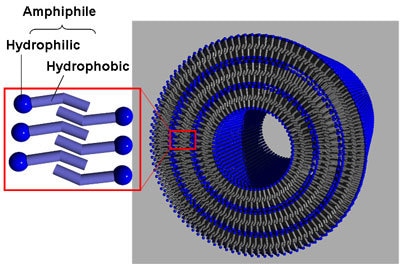 AZoNano - The A to Z of Nanotechnology - An illustration of typical molecular packing of an organic nanotube.