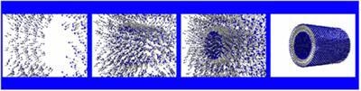AZoNano - The A to Z of Nanotechnology - A possible schematic diagram showing a self-assembly mechanism of our amphiphilic molecules in an organic solvent