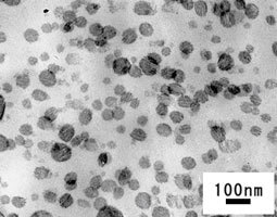 AZoNano - The A to Z of Nanotechnology - A transmission electron microscope image of a PVDF/PA11 blend prepared using high-shear processing. PA11 of ten to several tens of nanometers in diameter (round black parts) is homogeneously dispersed densely in the PVDF matrix (white background region).