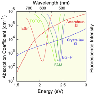 AZoNano - The A to Z of Nanotechnology - Relationship between fluorescence spectra of dyes used for bio-analysis and absorption coefficient of crystalline or amorphous silicon (EtBr, TOTO, FAM, and EGFP are the name of fluorescent dyes)