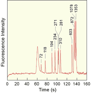 AZoNano - The A to Z of Nanotechnology - DNA fragments with eleven kinds of lengths are separated on a microfluidic electrophoresis chip, and are detected by a micromachined fluorescence detector. Completely raw data; DNA concentration: 100 ng/µL