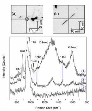 Raman spectra obtained by using nanotube probes. (1) from CNPs with triangles on the inside, (2) from MWNT with triangles attached to the outside, and (3) with no nanotube present, showing the lack of any signal besides from Si. (a) An image of a small cluster of MWNT used to obtain SERS.  (b) An individual nanopipe used to obtain SERS.