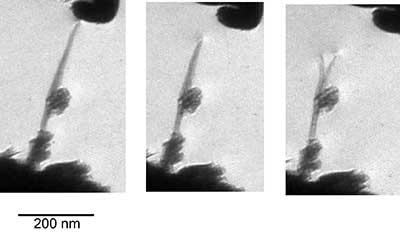 A gradual destruction of a single-walled CNT filled with C60 molecules bundle at constant voltage (200 V) applied. The time between images is 10 s.