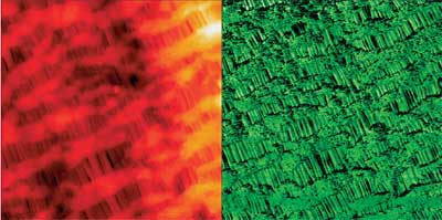 Topography (left) and phase image (right) of Celgard. While oriented fibrillar structures are evident in topography, the phase image additionally reveals lamellar fine structure. Image size 2.5ìm. Closed loop active.