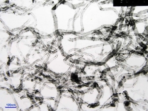 A TEM image of our MWNTs 95wt% 20-40nm OD