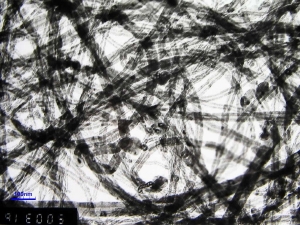 A TEM image of our MWNTs 95wt% 30-50nm OD
