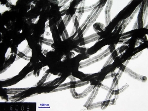 A TEM image of our MWNTs 95wt% />50nm OD