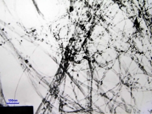 A TEM image of our MWNTs 95wt% <8nm OD