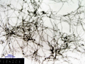 A TEM image of our MWNTs 95wt% 8-15nm OD