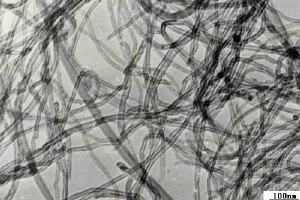 A TEM Image of our MWNTS 95wt% 10-20nm OD