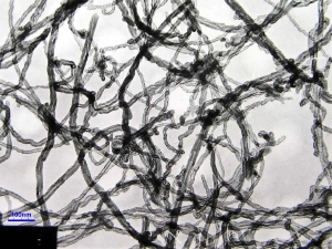 A TEM image of our MWNTs 95wt% 20-30nm OD