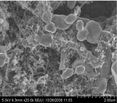 SEM image of electrode added CNTC