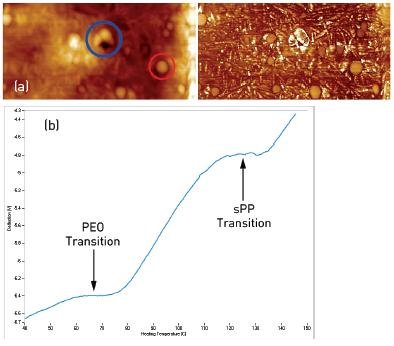 (a) 4µm x 2µm TappingMode AFM image of a polyethylene oxide - syndiotactic polypropylene (PEO-sPP) blend showing both topography (left) and phase (right). The red circle highlights a small domain and the blue circle highlights a similar domain after the nano thermal analysis was performed. (b) VITA nTA measurement performed at the location of the blue circle. The curve shows a transition temperature characteristic of PEO, followed by a sPP melt transition. Apparently, the small features visible in the AFM images represent shallow PEO domains that are readily traversed, allowing the probe to sense both the small PEO domain and underlying sPP matrix.