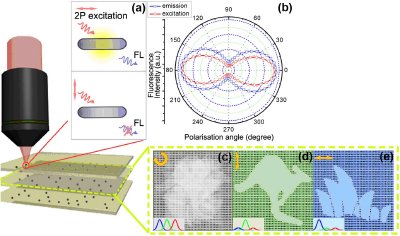 Scheme of multi-dimensional optical data storage by photoreaction of rod-shaped nanoparticles. (a) Illustration of 2P polarisation-selective excitation and emission dependence of quantum rods on the polarisation state. (b) Polarisation dependence of the fluorescence intensity on excitation polarisation state (red circles) and emission directions (blue squares). Information are polarisation and spectra multiplexed in multilayer inside the medium. One recorded layer indicated by yellow dashed line is addressed using circularly polarised broad band source as illustrated in (c). The multiplexed information can be individually addressed with corresponding polarisation (indicated by the arrow) and wavelength, as illustrated in the (d) and (e).