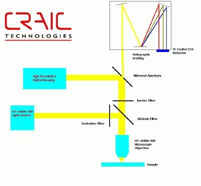 microfluorometer