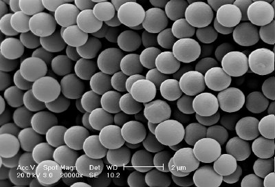 SEM image of µ-Sq beads