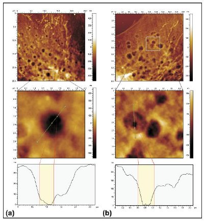 AFM images at two powers of magnification, in which craters and pores are visible and AFM trace scans.