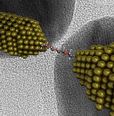 Chemically grown gold nanorods are used to contact single molecule.9 Image Courtesy of Titoo Jain