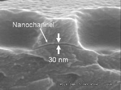 Scanning Electron Micrograph of a nanochannel converted from a DNA nanowire