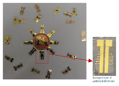 Flexible gold-on-polymer electroenzymatic glucose sensors.