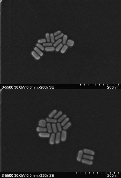 Secondary electron microscopy images of gold nanorods analyzed in a Hitachi S-5500 high resolution SEM.