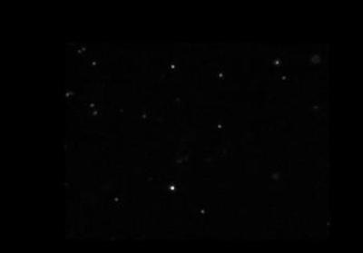 Typical virus image produced by the NanoSight instrument.