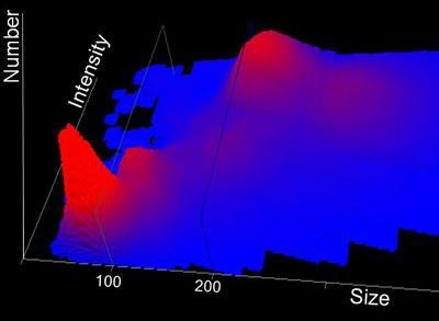 A smoothed 3D plot of size vs. relative light scattered intensity vs.particle number of an aged mixture of 100 nm and 200 nm polystyrene microspheres exhibiting partial aggregation.
