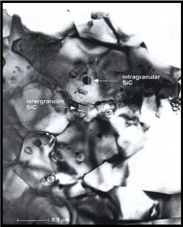 Actual microstructure of a SiC-Si3N4 nanocomposite1