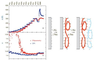 Comparison of DPI and ellipsometery measurements of a polyelectrolyte multilayer construct. At thick layers agreement for thickness (d) and refractive index (n) is excellent. At reduced thicknesses ellipsometry requires the knowledge of the RI (or thickness) in order to calculate the thickness (or RI) while DPI can measure arbitrarily thin layers revealing the oscillation in density associated with alternate positive and negatively charged layers depositing.