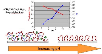 Polymer swelling due to protonation as measured by Dual Polarisation Interferometry