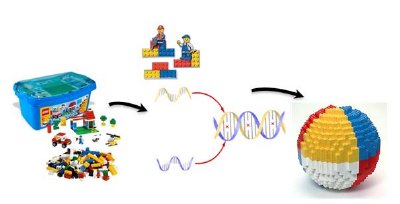 A concept of programmable self-assembly. Nano-components of various types (lego-blocks) are directed by "smart" glue, biomolecules (for example, DNA), that encode how components interact, that leads to formation of final structure.