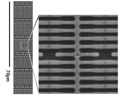 A high magnification excerpt from the long image.
