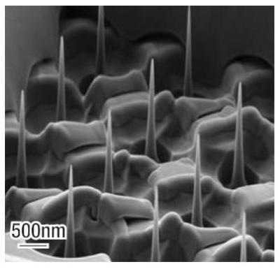 Nano-Pillar arrays
