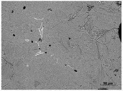 BSE image of the same area as in Fig. 1.The microstructure is clearly visible in comparison to the SE image.