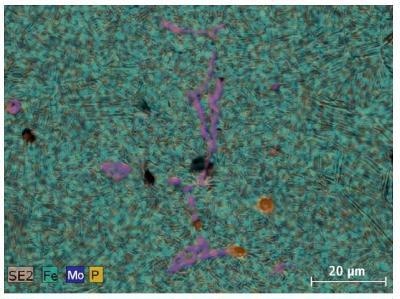 SE image of the same area as in Fig. 1 overlapped with Mo, Fe and P mappings obtained with EDS.