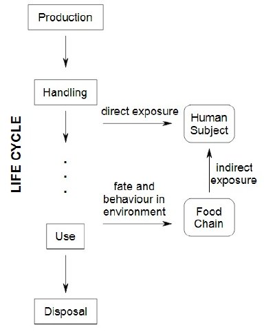 Exposure Assessment Rationale.