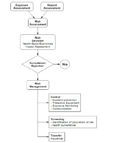Risk Management Procedure