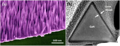 (a) Scanning electron microscope (SEM) image of aligned GaN nanowire growth on sapphire; (b) transmission electron microscope (TEM) image of a GaN nanowire with AlGaN shell layer showing its triangular cross-section.