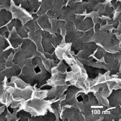 Exit side view of vias in Au membrane.