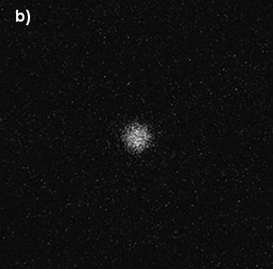Real-time verification of endpoint by transmission imaging. Actual (programmed) via widths, in nm: a) 20 ± 3 (20) nm, b) 8 ± 1 (5) nm, c) 5.2 ± 0.5 (spot mode).