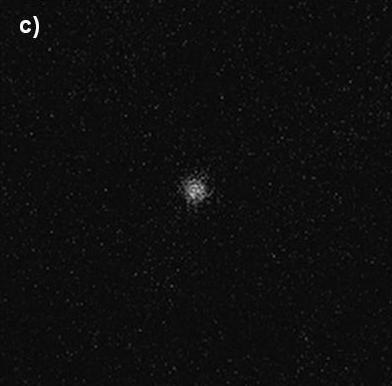 Real-time verification of endpoint by transmission imaging. Actual (programmed) via widths, in nm: a) 20 ± 3 (20) nm, b) 8 ± 1 (5) nm, c) 5.2 ± 0.5 (spot mode).