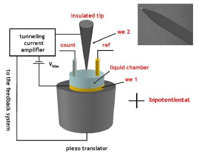 Scheme of an ECSTM. The inset shows an insulated ECSTM probe.