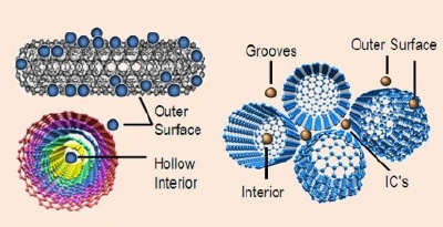Possible binding sites available for adsorption on (left) MWNTs and (right) SWNTs surfaces.