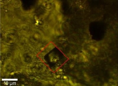 Video image of the diamond inclusion indicating the scan range for the Raman image.