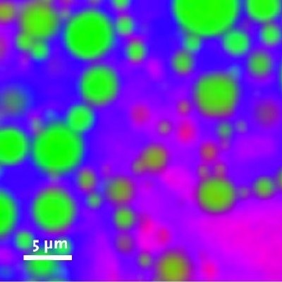 One of the 23 color coded x-y Raman images from a 3D imaging-stack of an oil-alkane-water emulsion (Green: Oil, Red: Alkane, Blue: Water, 30 x 30 µm, 150 x 150 pixel, 22 500 spectra).