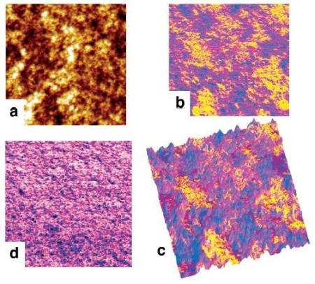 PeakForce TUNA images of P3HT:PCBM solar cell with a PEDOT modified ITO/glass anode. Shown are (a) topography, scale 10nm; (b) Cycle-averaged Current, scale 5pA; (c) Adhesion, scale 8 ~10nN and (d) the overlay of conductivity map on topography. Image size is 2µm × 2µm, taken at 2.5V DC bias, a net-negative Peak Force of -1.5nN is shown in the force curve (e). Bruker’s Multimode 8 AFM is used with Bruker’s Peak Force TUNA probe (Au coating, spring constant 0.4N/m) in a glove box with below 1ppm O2 and H2O. Sample courtesy of Prof. Nguyen, UCSB.