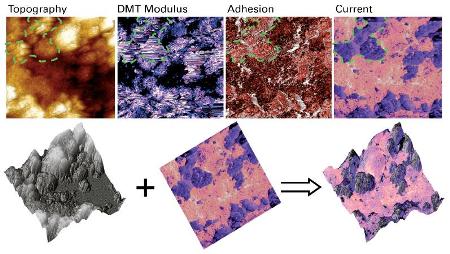 PF-TUNA images of a Li[Ni1/3Mn1/3Co1/3]O2 composite cathode, on the top row are topography, DMT modulus, adhesion and current maps. The overlay of a current map on topography is shown on the bottom row. Images were taken on a Dimension ICON AFM in ambient conditions, with a DDESP probe (spring constant was calibrated to be 93N/m), 50ìm scan at a DC sample bias of 500mV.