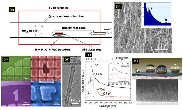 (a) Schematic of thermal chemical vapor deposition (CVD) for the growth of BNNTs. (b) SEM images of the as grown BNNTs and the spectra of electron energy loss spectroscopy (EELS). (c) SEM images of BNNTs grown at desired patterns by catalytic CVD (CCVD). (d) TEM images of the BNNTs. (e) Absorption spectra showing a band gap ~6eV without sub-band absorption levels (1: high-quality BNNTs by CCVD, 2: BNNTs grown by thermal CVD, 3: ethanol). (f) Water droplets on BNNT films showing superhydrophopic behavior of vertically-aligned BNNTs.