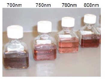 Gold nanorod kit.